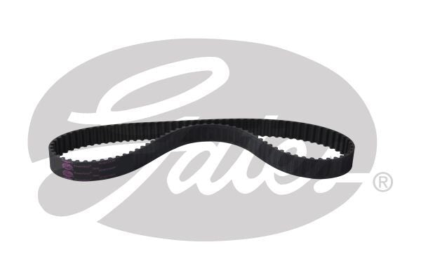 PowerGrip Belt