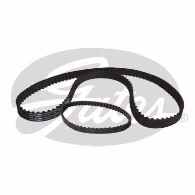 Timing & Balance Bet Set Gates TBS229A