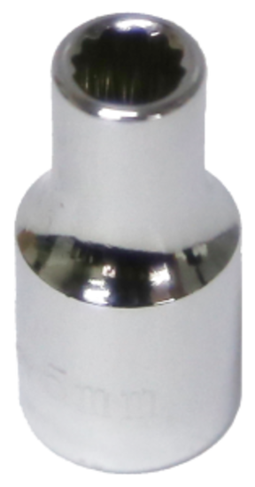 5mm x 1/4"Drive 12 Point Socket T&E Tools 52305