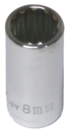 8mm x 1/4"Drive 12 Point Socket T&E Tools 52308