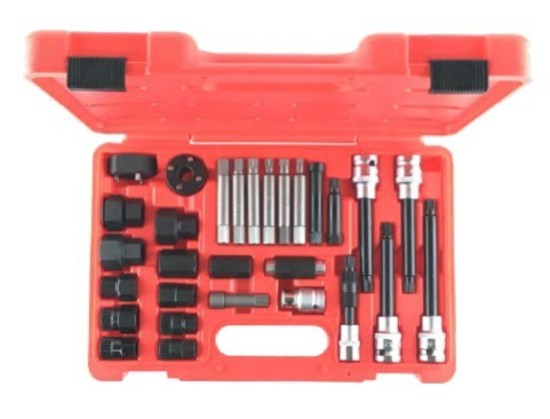 30 Piece Alternator Insert Bit Service Set T&E Tools TX3030