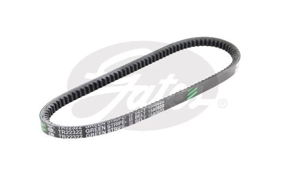 V-Belt