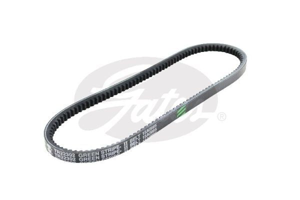 V-Belt