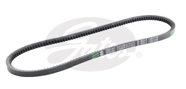 V-Belt
