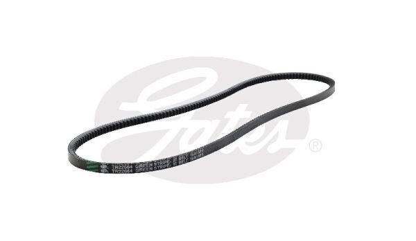 V-Belt
