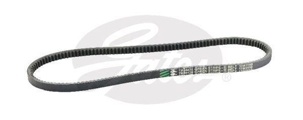 V-Belt