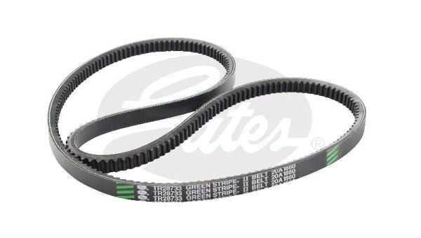 V-Belt