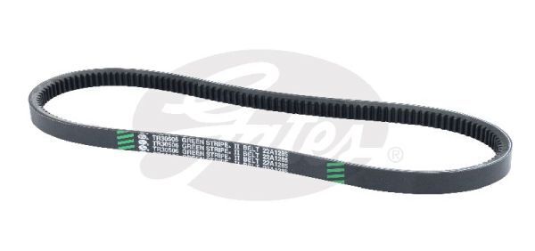 V-Belt