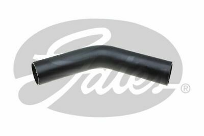 Fuel Hose