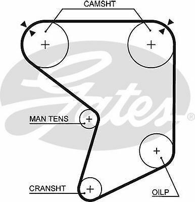 Timing Belt T074