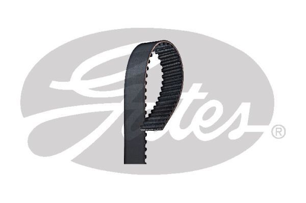 Timing Belt T209