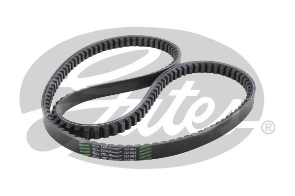 V-Belt