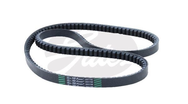 V-Belt