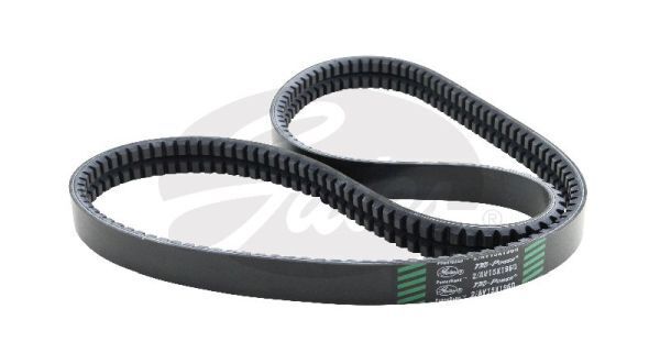 V-Belt