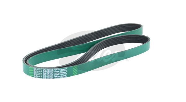 Micro V-belt Gates 6PK1562HD