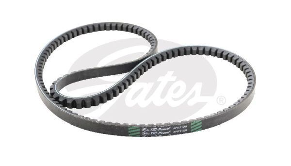 V-Belt